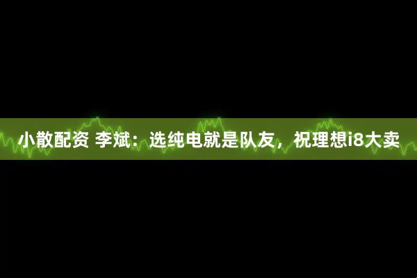 小散配资 李斌：选纯电就是队友，祝理想i8大卖