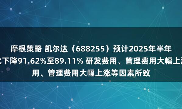 摩根策略 凯尔达（688255）预计2025年半年度净利润同比下降91.62%至89.11% 研发费用、管理费用大幅上涨等因素所致