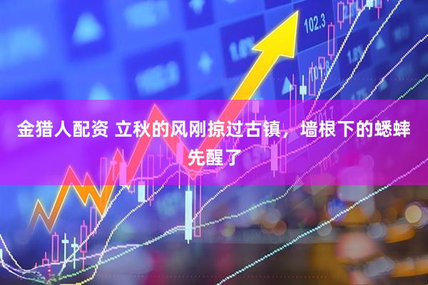 金猎人配资 立秋的风刚掠过古镇，墙根下的蟋蟀先醒了